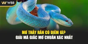 Mơ Thấy Rắn Có Điềm Gì? Giải Mã Giấc Mơ Chuẩn Xác Nhất